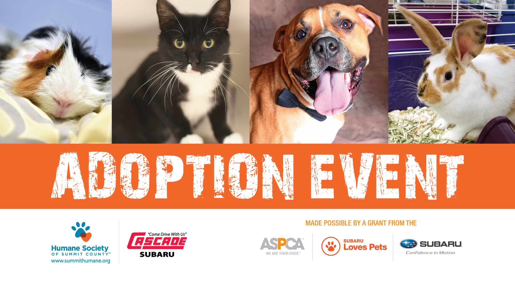 "Subaru Loves Pets" Adoption Event Humane Society of Summit County